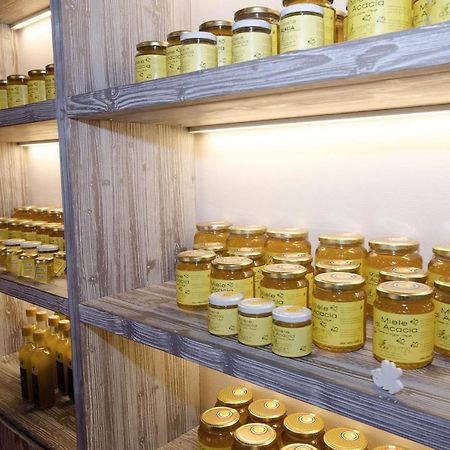 Agriturismo Due Comuni San Gervasio Εξωτερικό φωτογραφία